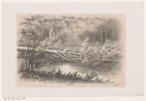Árvore abatida, após a tempestade de 28 de Maio de 1860
Lago (título sobre o objecto)
Álbum de dez esboços litografados, retratando cenas da destruição causada pela tempestade de 28 de Maio de 1860 na Bosch, em Haia, em Scheveningen, etc. (