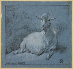 Bode