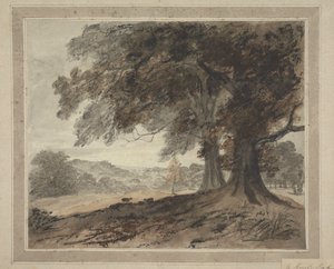 Em Knole Park