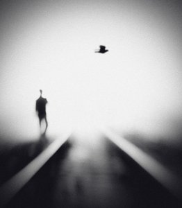 Homem Solitário, Pássaro Voador de Hengki Lee