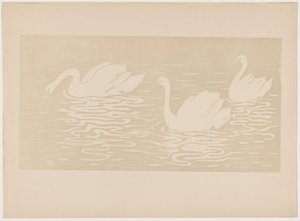 Os cisnes