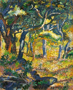 Uma clareira na Provença (Estudo) de Henri-Edmond Cross