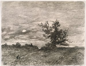 Paisagem ao luar