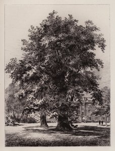 Cambridge: The Garden of Christ
