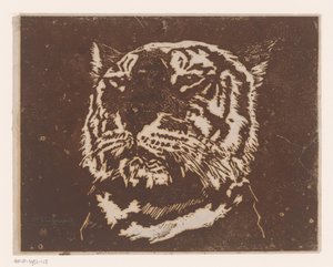 Tigre