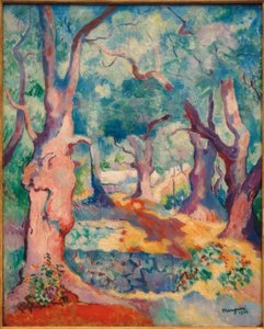 paisagem