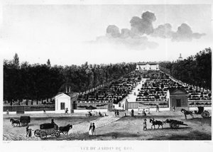 Vista do jardim do Rei: o Jardin des Plantes em Paris - gravura de Courvoisier de Henri Courvoisier-Voisin