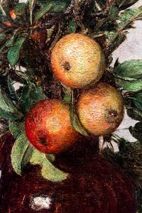 Frutos, pormenor