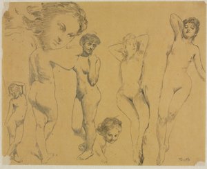 Estudos de nus femininos