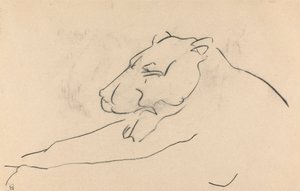 Lioness em linha recortada de Henri Gaudier-Brzeska