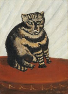 O gato malhado