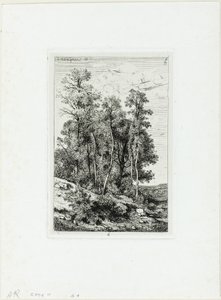 Bétulas e Carvalhos de Henri Joseph Harpignies