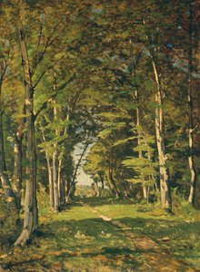 Bosques de Famars, 1887