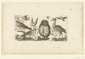 Nove pássaros e um inseto Aves (título da série) de Henri Le Roy