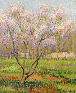 Macieira em flor; Flores de maçã, de Henri Martin