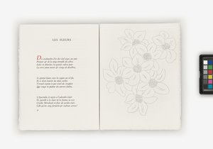 Poesia de Henri Matisse