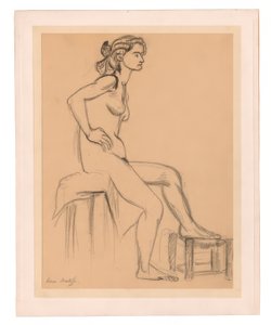 Nu feminino sentado, um pé num banco de Henri Matisse