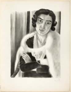 A Raposa Branca de Henri Matisse