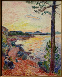 le gouter golfe de saint tropez 1904 (óleo sobre tela) de Henri Matisse