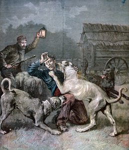 Um criminoso atacado por três cães grandes, 1891 de Henri Meyer