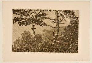[Árvores sob o aguaceiro] de Henri Rivière