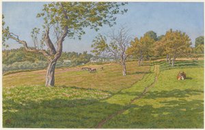 Campos em Auffay de Henri Rivière