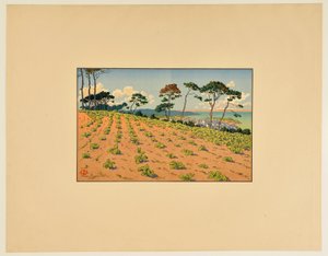 [Douarnenez vista da estrada do Ris] de Henri Rivière