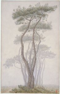 de Henri Rivière