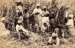 Cortadores de cana de açúcar, Jamaica de Henri S. Duperly