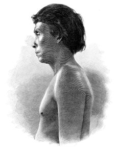 Guatsu indiano, América Central, c1890