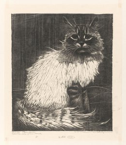 Bonte Angora (título original no objeto)