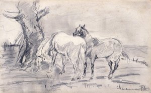 Cavalos
