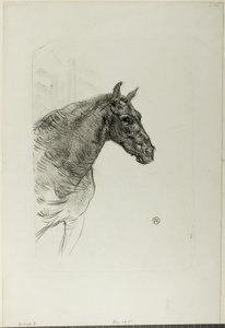 Philibert, o Pônei de Henri de Toulouse Lautrec