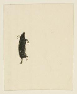 Tailpiece de At the Foot of Sinai de Henri de Toulouse Lautrec