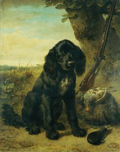 Um Retriever plano revestido por uma árvore (óleo sobre tela) de Henriëtte Ronner Knip