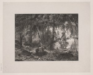Dinamarquês: Interior da floresta de Henrik Bornemann