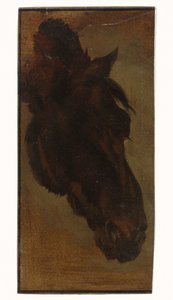 cabeça de cavalo