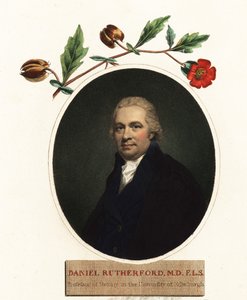 Retrato de Daniel Rutherford, botânico.1805 (gravura) de Henry (after) Raeburn