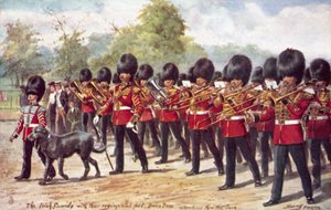 Os guardas irlandeses com seu animal de estimação regimental marchando no parque de Henry A. Payne