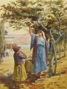 Recolha de figos (cor litho) de Henry Andrew Harper