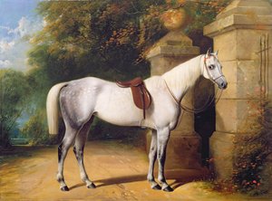 Um cavalo cinza por portas do parque, 1851