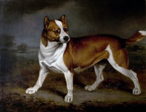Urtiga, 1812