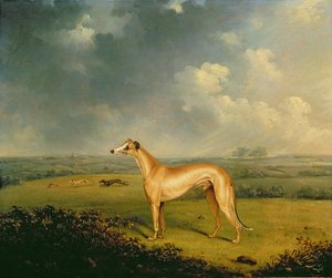 Reverendo Henry Bate Dudley