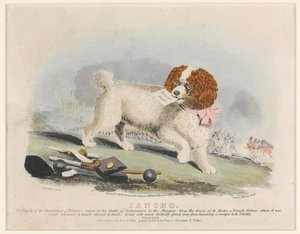  Sancho , Batalha de Salamanca, 1812