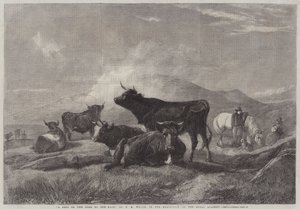 Um descanso no caminho para a feira