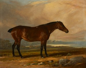 Estudo de um Bay Hunter em uma paisagem (óleo sobre tela)