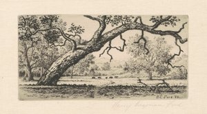 Paisagem da Califórnia, 1888.