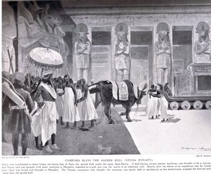 Cambyses mata a bula sagrada, ilustração de "Hutchinsons História das Nações", c.1910 de Henry Charles Seppings Wright