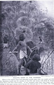 Matando pássaros nos pântanos, c.1920 de Henry Charles Seppings Wright