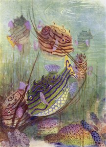 O Peixeiro dos Mares de Coral de Henry Charles Seppings Wright